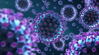 Что нужно знать гражданам о новом штамме коронавируса «омикрон»  